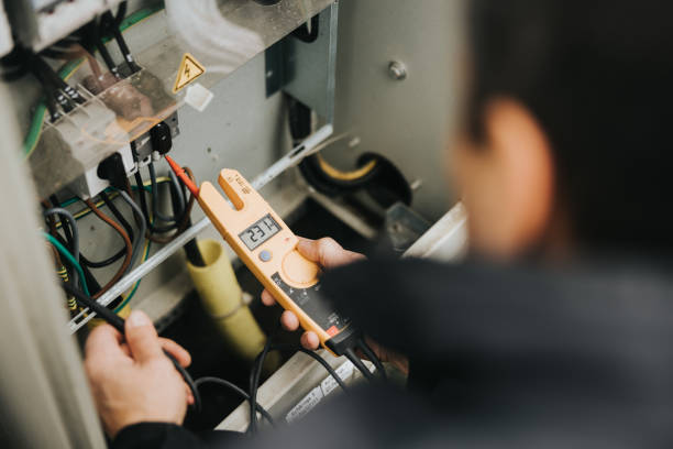 Best Electric Panel Repair  in Tice, FL