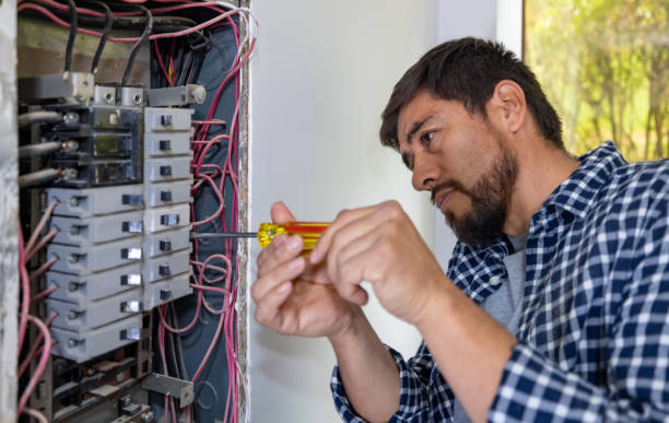 Best Home Electrical Repair  in Tice, FL